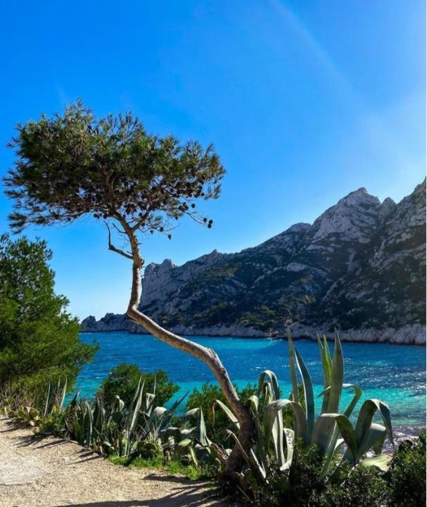 Le Cassidain - Port Et Plage - Luxious Appartement Cassis Exteriör bild